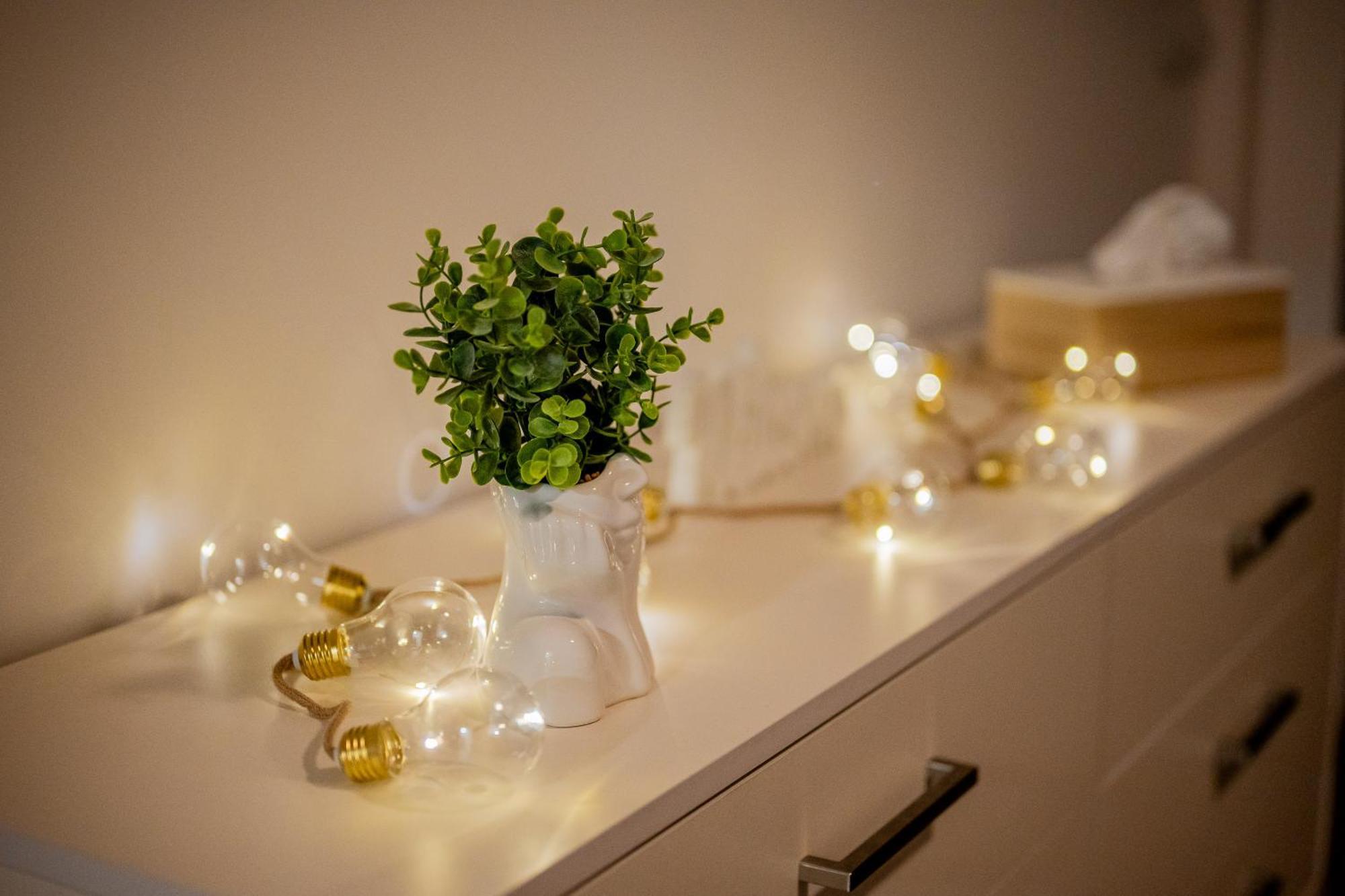 Old Town City Center Apartment 1 - Private Parking Included كَشّا المظهر الخارجي الصورة
